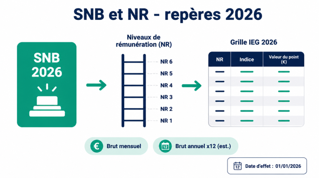 Schéma SNB 2026 et niveaux de rémunération IEG