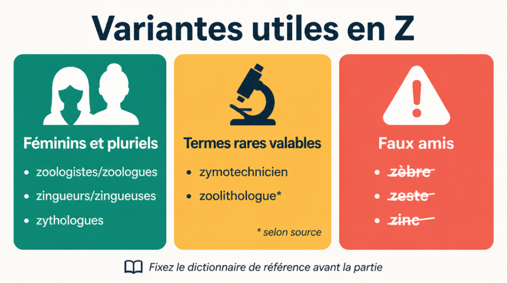 Récapitulatif féminins, pluriels et faux amis en Z pour jeux